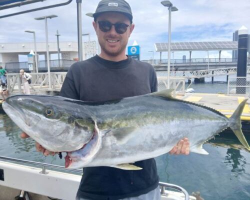 6545e79b-b434-4d1d-b6d5-c61e1d30d2bb 6545e79b-b434-4d1d-b6d5-c61e1d30d2bb